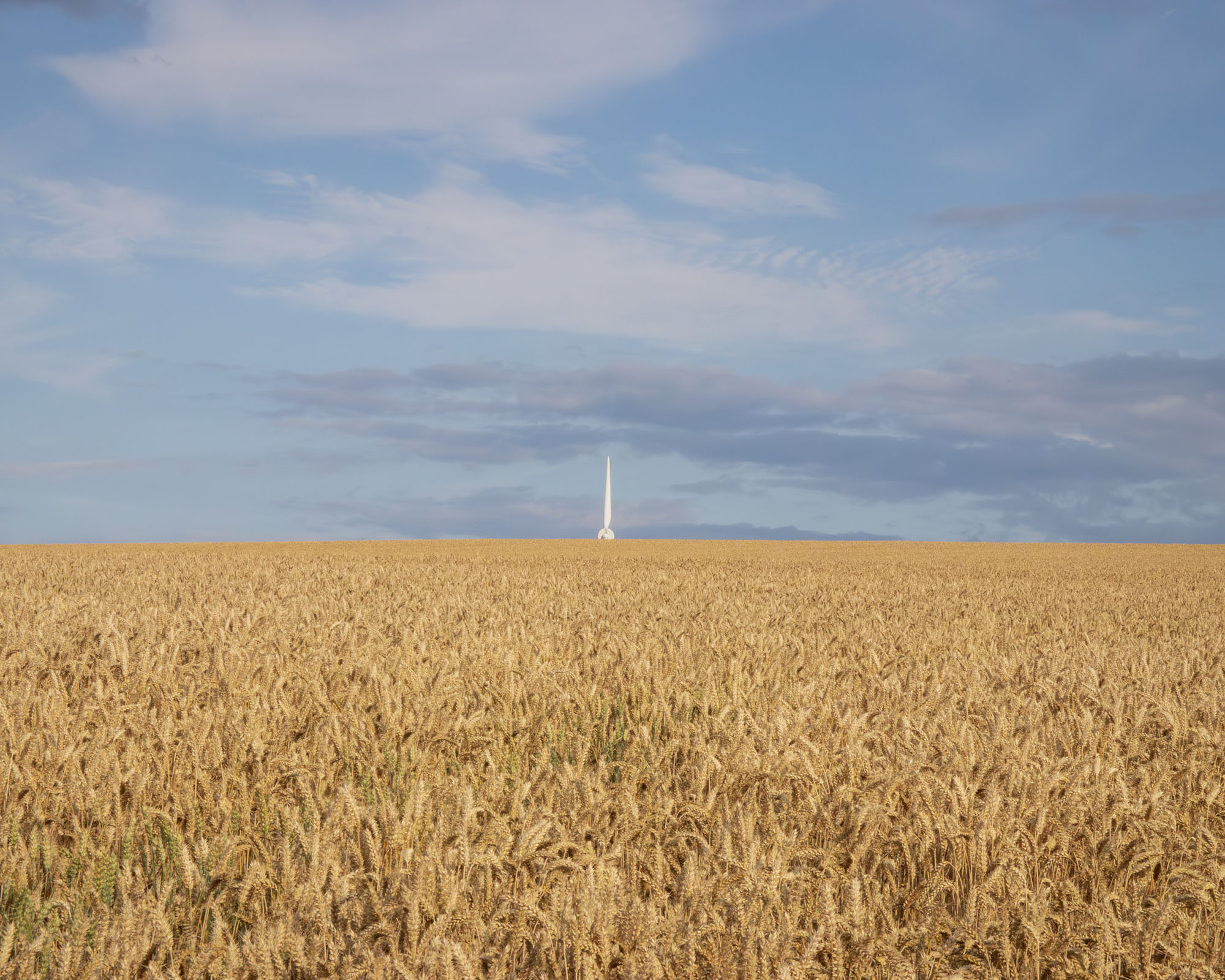 A wide field of golden wheat stretches to the horizon under a blue sky with clouds. In the distance, a white monument or spire stands alone, rising above the wheat.