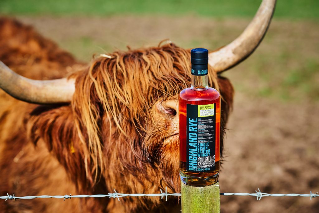 A bottle of Highland Rye whisky sits on a wooden post in front of a Highland cow with long shaggy fur and large curved horns. A wire fence and grassy background are also visible.